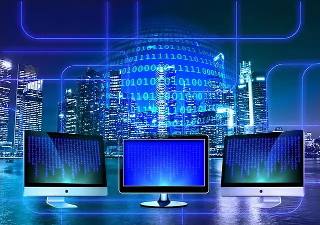 Purpose of the Network Security Authentication Function