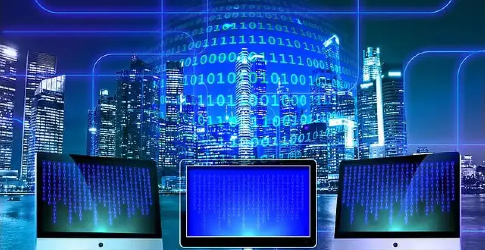 Purpose of the Network Security Authentication Function